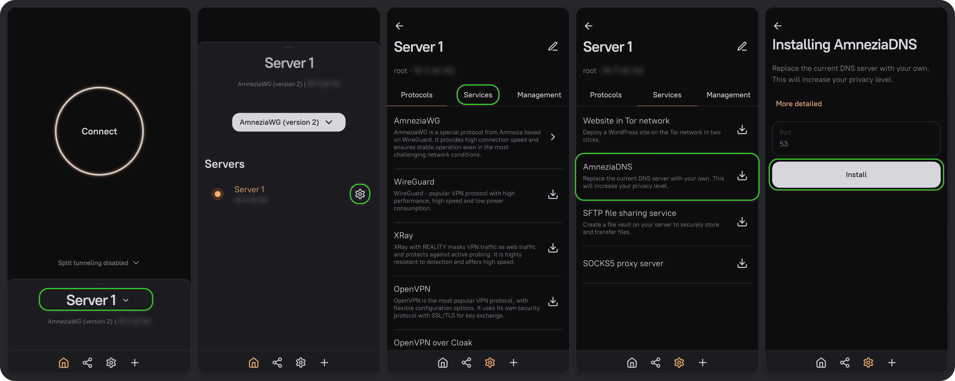 Selecting a server and installing AmneziaDNS from the Services tab
