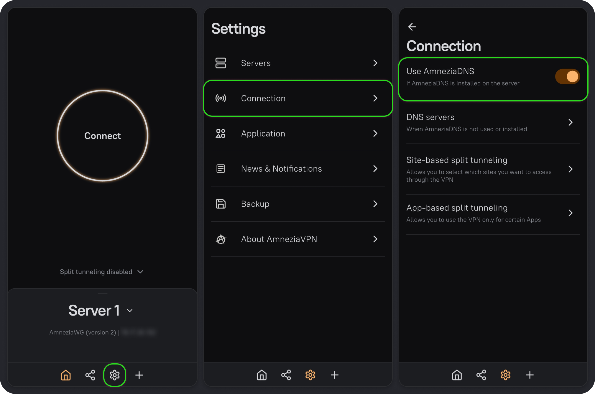 Turning on Use AmneziaDNS under Settings → Connection