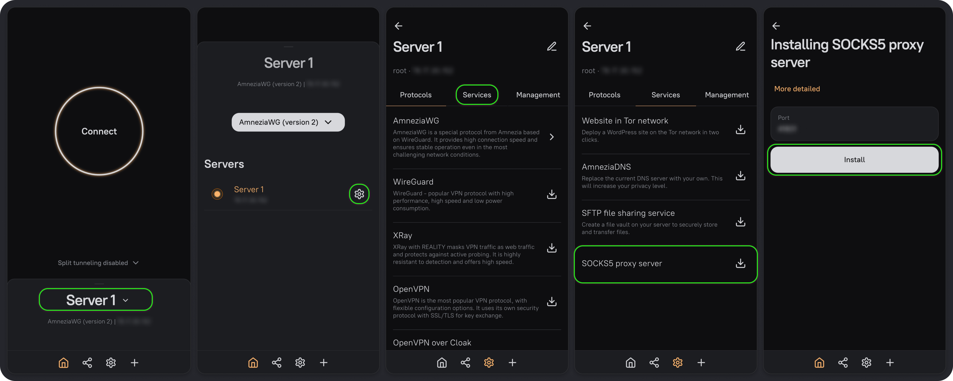 Installing a SOCKS5 proxy: select the server, open Services, and choose a port