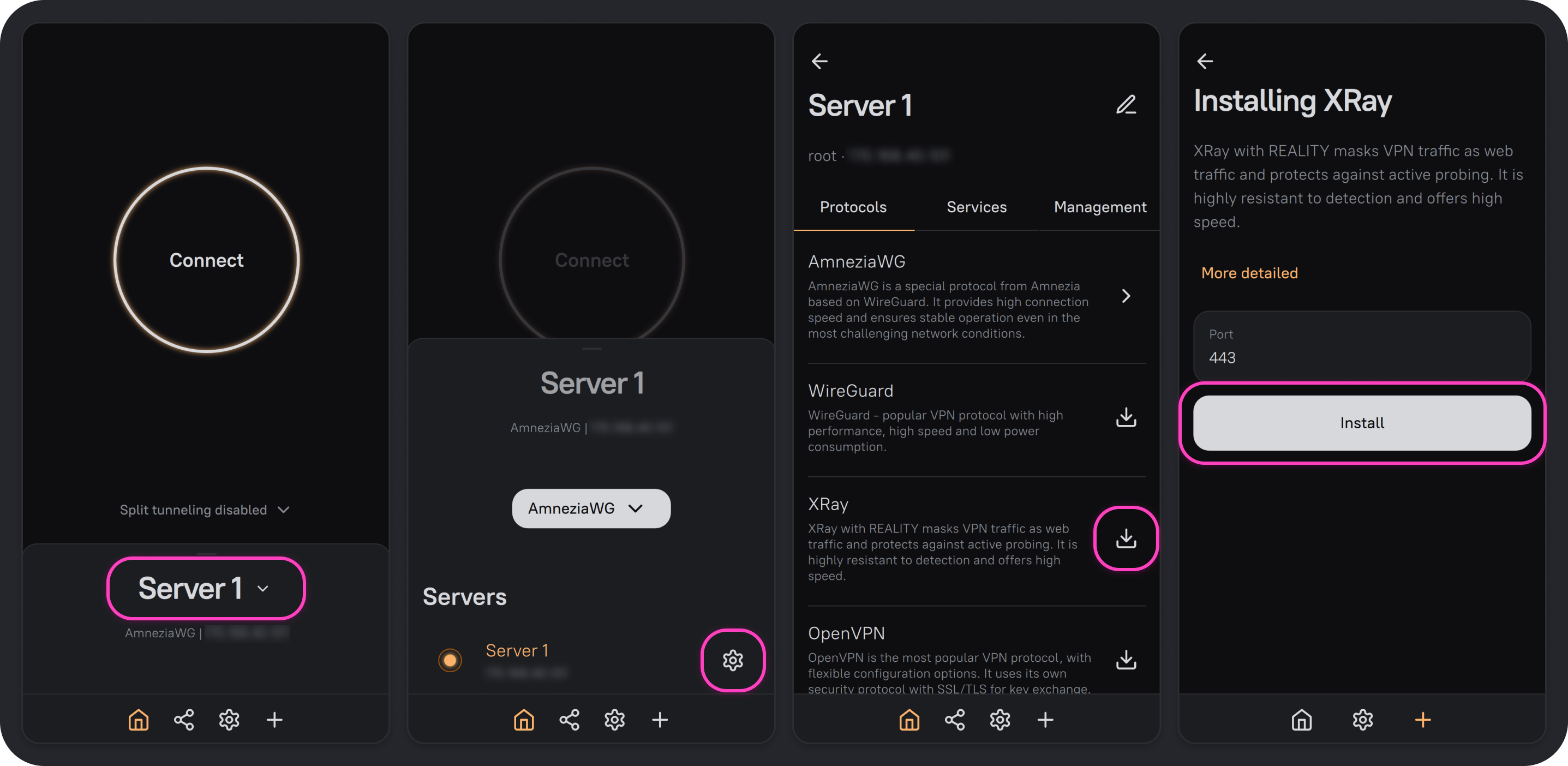 Adding XRay to a server that already has AmneziaWG installed